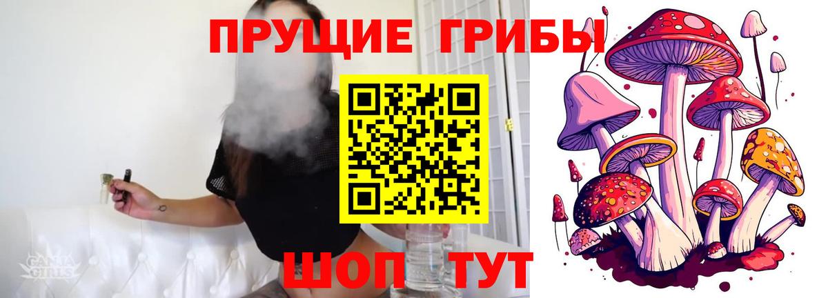 Галлюциногенные грибы GOLDEN TEACHER  Вход с VPN  Асбест 