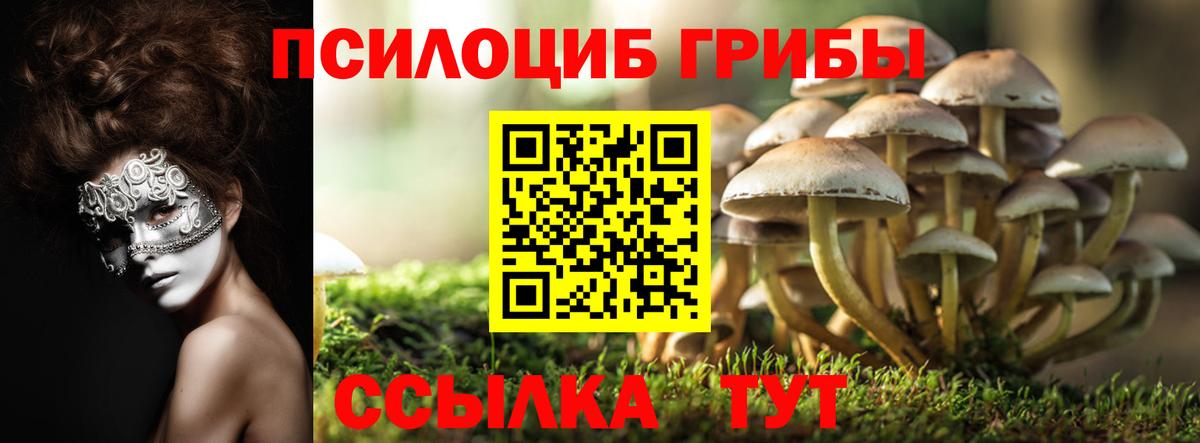 Псилоцибиновые грибы Psilocybe Асбест